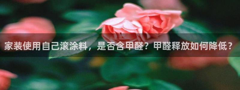 和记官网 公司：家装使用自己滚涂料，是否含甲醛？甲醛释放如何降低？