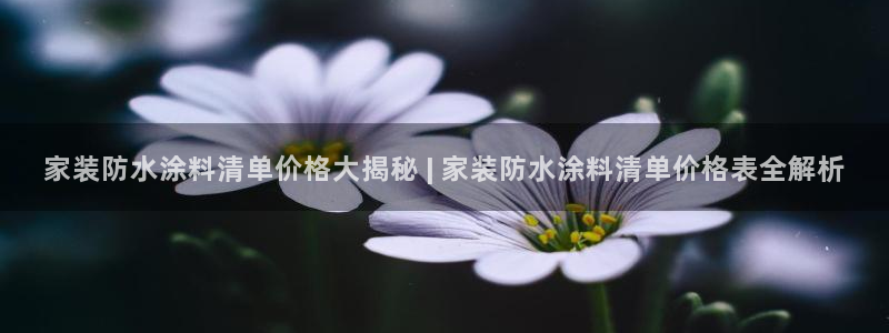 和记注册有什么送的：家装防水涂料清单价格大揭秘 | 家装防水涂料清单价格表全解析