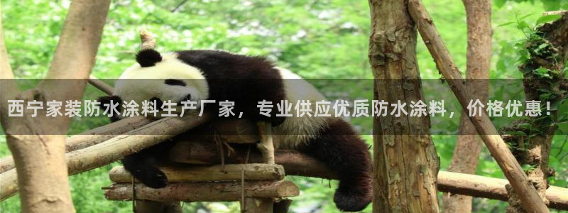 和记官方直营注册：西宁家装防水涂料生产厂家，专业供应优质防水涂料，价格优惠！
