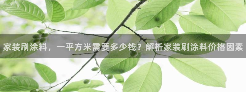 和记app官网：家装刷涂料，一平方米需要多少钱？解析家装刷涂料价格因素