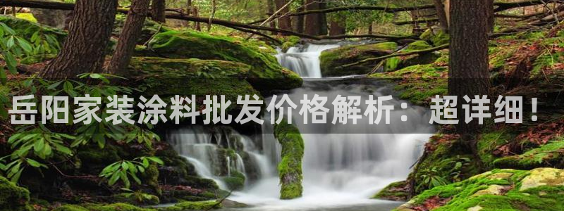 和记(福建)商贸有限公司招聘：岳阳家装涂料批发价格解析：超详细！