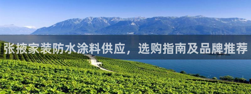 和记官网登陆：张掖家装防水涂料供应，选购指南及品牌推荐