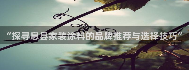 和记港口