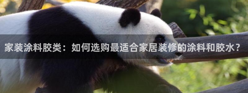 和记官网：家装涂料胶类：如何选购最适合家居装修的涂料和胶水？