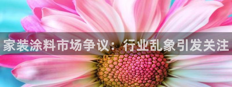 和记h188：家装涂料市场争议：行业乱象引发关注