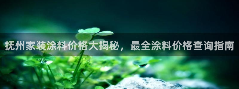 和记官方直营：抚州家装涂料价格大揭秘，最全涂料价格查询指南