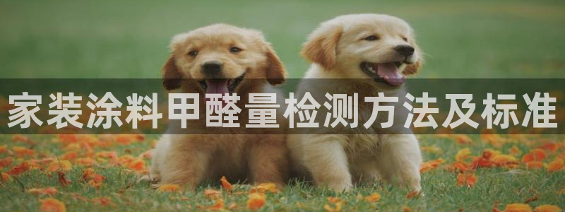 和记国际