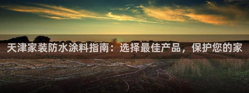 和记国际听