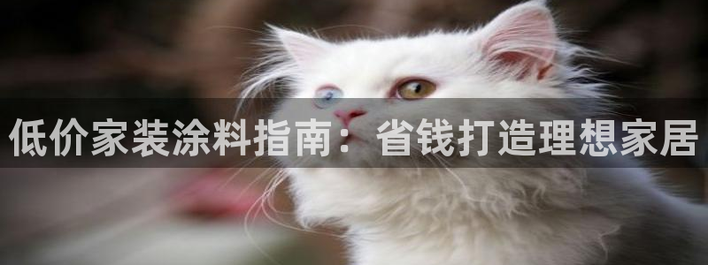 和记网页版