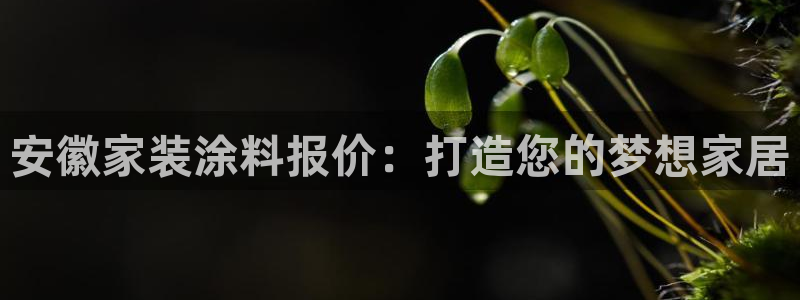 和记paging