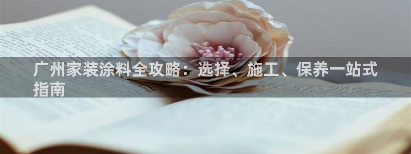 和记5g电讯：广州家装涂料全攻略：选择、施工、保养一站式
指