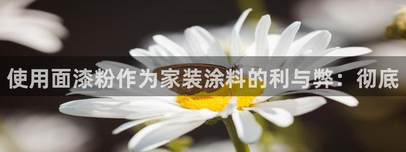 和记ag旗舰国际：使用面漆粉作为家装涂料的利与弊：彻底
