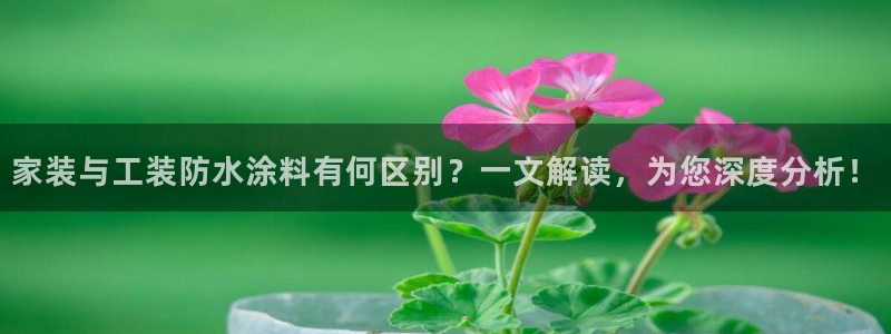 和记下载：家装与工装防水涂料有何区别？一文解读，为您深度分析！
