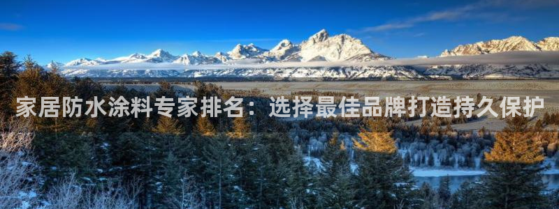 和记ag旗舰厅：家居防水涂料专家排名：选择最佳品牌打造持久保护