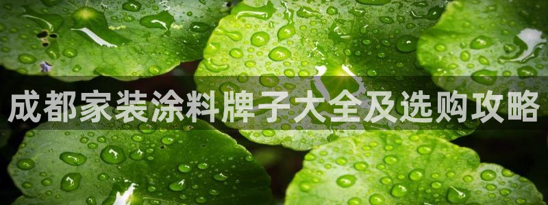和记pc：成都家装涂料牌子大全及选购攻略