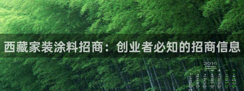 和记h88游戏：西藏家装涂料招商：创业者必知的招商信息