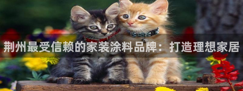 和记ag网页版：荆州最受信赖的家装涂料品牌：打造理想家居