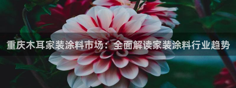 和记AG