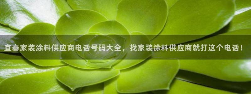 和记ag旗舰厅