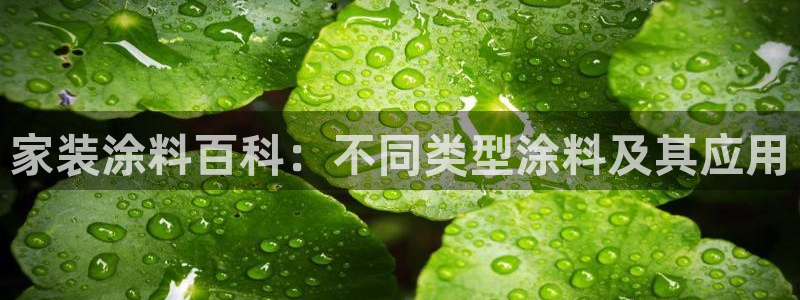 和记官方直营注册：家装涂料百科：不同类型涂料及其应用