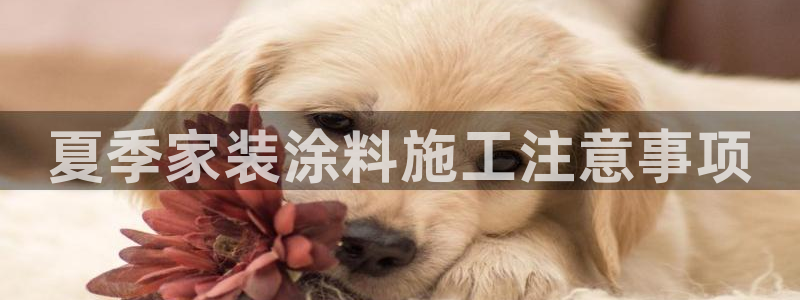 和记 官网