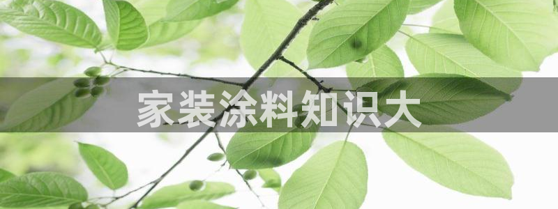 和记官方直营注册：家装涂料知识大