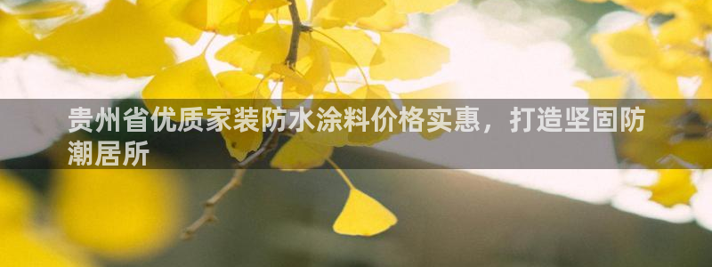和记国际客服：贵州省优质家装防水涂料价格实惠，打造坚固防
潮居所