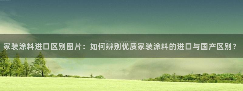 和记国际电讯市值：家装涂料进口区别图片：如何辨别优质家装涂料的进口与国产区别？