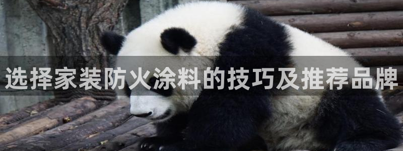 和记AG网站：选择家装防火涂料的技巧及推荐品牌