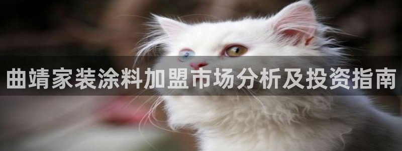 和记ag：曲靖家装涂料加盟市场分析及投资指南