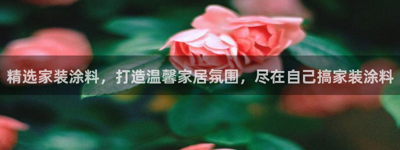和记ag：精选家装涂料，打造温馨家居氛围，尽在自己搞家装涂料