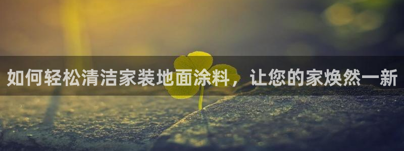 和记官方直营：如何轻松清洁家装地面涂料，让您的家焕然一新