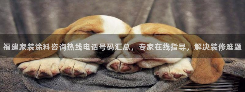 和记官方：福建家装涂料咨询热线电话号码汇总，专家在线指导，解决装修难题